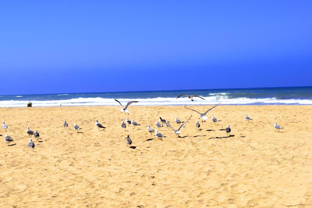 CASABAY Sidi Rahal, appartement avec accés direct à la plage et piscine Sidi Rahal  Exterior foto